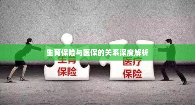 生育保险与医保关系的深度探讨-图1