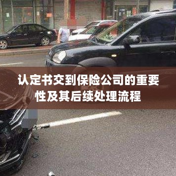 认定书对保险公司的重要性及后续处理流程详解-图1 认定书对保险公司的重要性及后续处理流程详解-图1