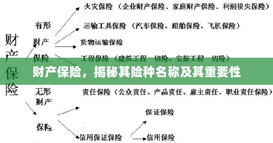 揭秘财产保险险种名称及其重要性,保障您的财产安全!-图1 揭秘财产保险险种名称及其重要性,保障您的财产安全!-图1