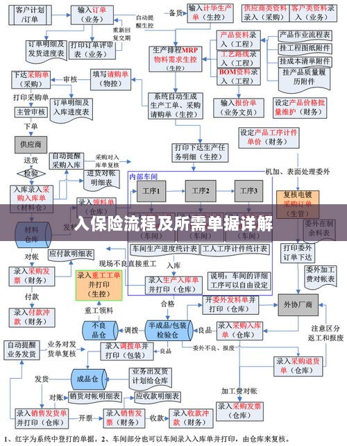 保险投保流程与所需单据全面解析-图1