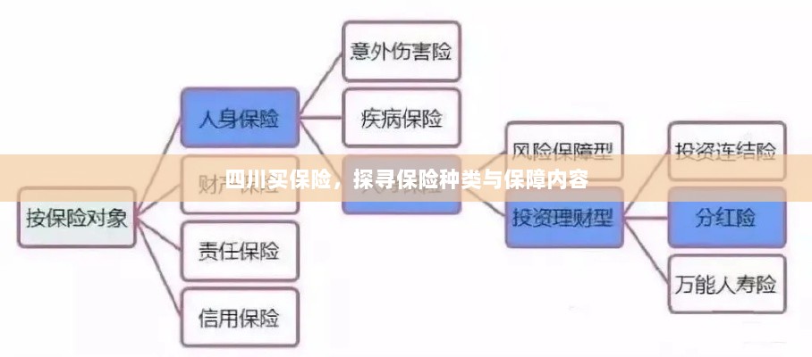 四川保险探秘,种类与保障内容全解析-图1 四川保险探秘,种类与保障内容全解析-图1