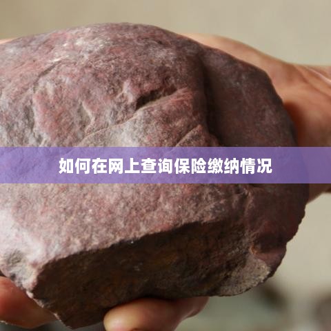 网上查询保险缴纳情况攻略-图1 网上查询保险缴纳情况攻略-图1