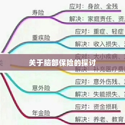 脑部保险，深度探讨与解析-图1