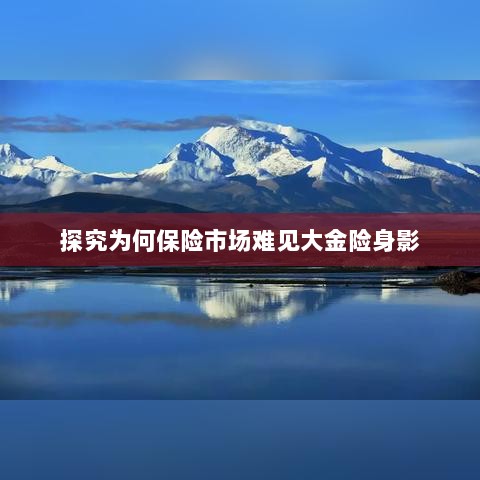 大金险在保险市场难觅踪迹的探究-图1