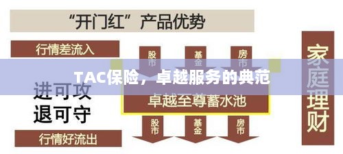 TAC保险,卓越服务的典范标杆-图1 TAC保险,卓越服务的典范标杆-图1