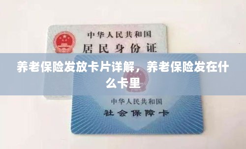 养老保险发放卡片详解，卡片类型与发放流程-图1