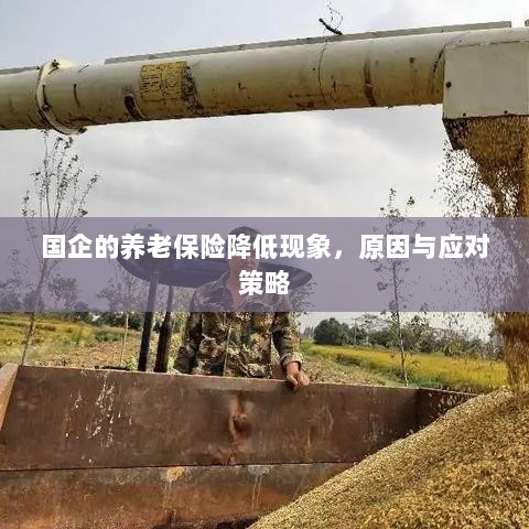 国企养老保险降低现象，原因探究与应对策略-图1