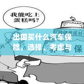 出国购车保险指南，选择、考虑与准备事项全解析-图1