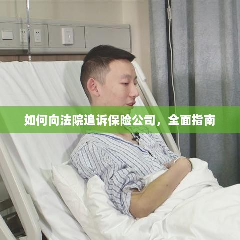 如何向法院追诉保险公司，全面指南解析-图1