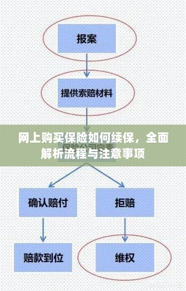 网上购买保险续保指南，流程解析与注意事项全攻略-图1