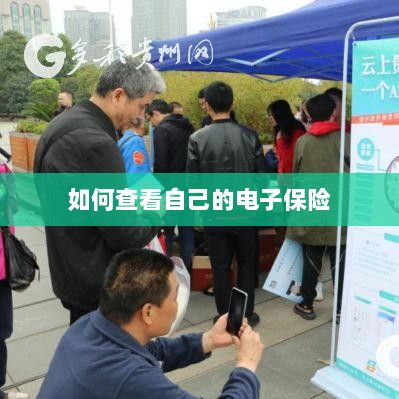 如何查看个人电子保险保单详情-图1