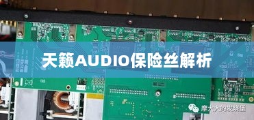 天籁AUDIO保险丝详解-图1 天籁AUDIO保险丝详解-图1