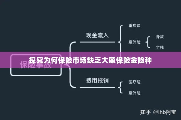 保险市场大额保险金险种缺失原因探究-图1