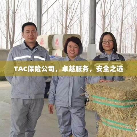 TAC保险公司，卓越服务，信赖的安全之选-图1