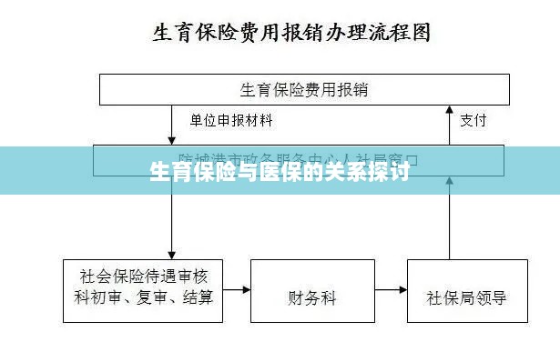 生育保险与医保关系深度探讨,融合与协同发展的视角-图1 生育保险与医保关系深度探讨,融合与协同发展的视角-图1