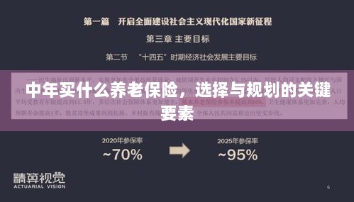 中年养老保险选择与规划的关键要素解析-图1 中年养老保险选择与规划的关键要素解析-图1