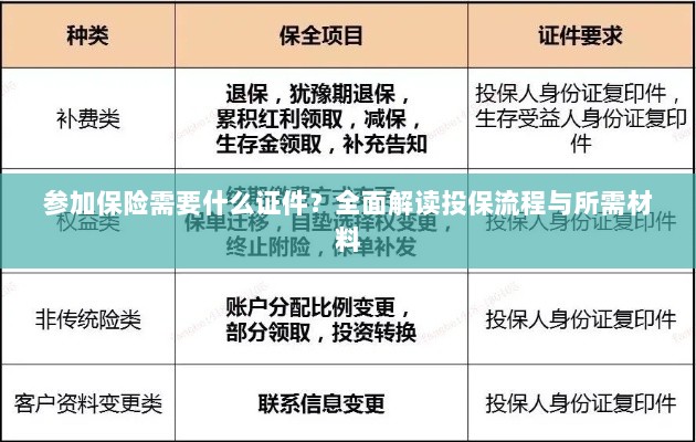 投保全攻略，保险所需证件及流程详解-图1