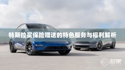 特斯拉保险赠品特色服务与福利深度解析-图1