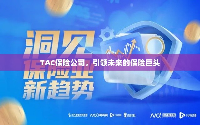 TAC保险公司，引领保险行业未来巨头之路-图1