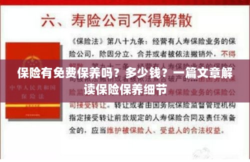 解读保险保养细节,免费保养政策与费用解析-图1 解读保险保养细节,免费保养政策与费用解析-图1