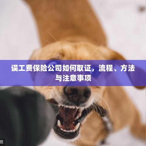 保险公司如何取证误工费，流程、方法与注意事项详解-图1