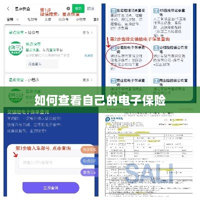 如何查看个人电子保险保单详情-图1 如何查看个人电子保险保单详情-图1