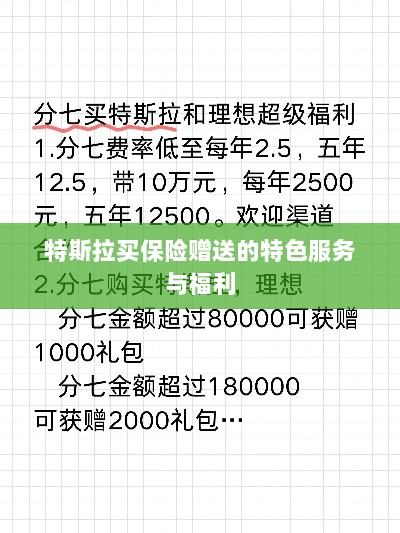 特斯拉保险特惠，独家特色服务与丰厚赠品等你来享-图1