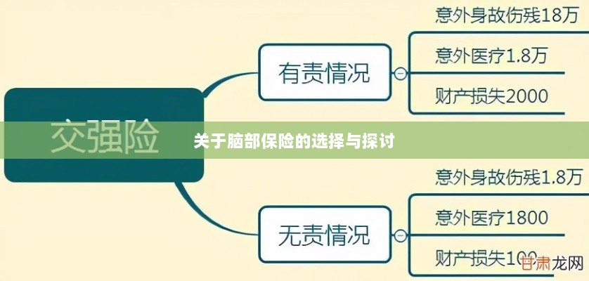 脑部保险的选择与探讨指南-图1