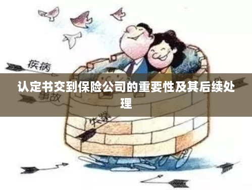 认定书交到保险公司的重要性及后续处理流程详解-图1