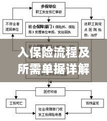 保险投保流程与所需单据全面解析-图1 保险投保流程与所需单据全面解析-图1