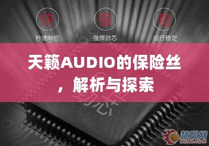 天籁AUDIO保险丝解析与探索-图1