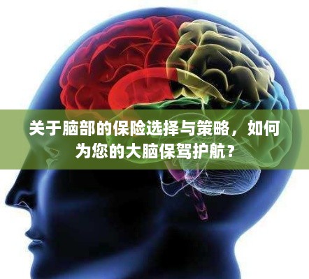 如何选择合适的脑部保险,为您的大脑保驾护航?-图1 如何选择合适的脑部保险,为您的大脑保驾护航?-图1