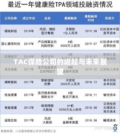 TAC保险公司的崛起及未来展望-图1