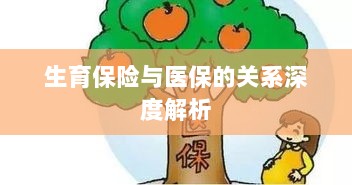生育保险与医保关系的深度探讨-图1 生育保险与医保关系的深度探讨-图1