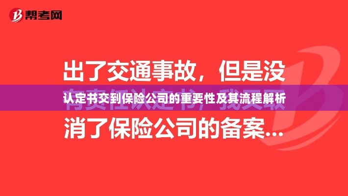 认定书交到保险公司的流程解析与重要性探讨-图1 认定书交到保险公司的流程解析与重要性探讨-图1
