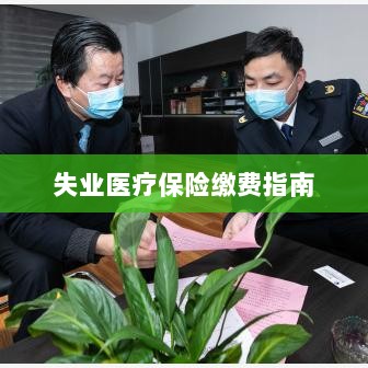 失业医疗保险缴费详解,一站式指南-图1 失业医疗保险缴费详解,一站式指南-图1