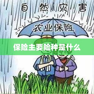 保险主要险种简介与概述-图1
