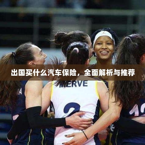 全面解析与推荐，出国应该购买哪些汽车保险？-图1