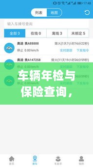 车辆年检与保险查询，全面指南解析-图1