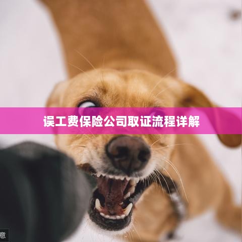 保险公司误工费取证流程详解-图1 保险公司误工费取证流程详解-图1