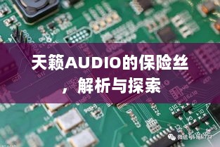天籁AUDIO保险丝解析与探索-图1