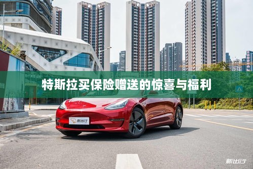 特斯拉保险购买赠品与惊喜福利概述-图1 特斯拉保险购买赠品与惊喜福利概述-图1