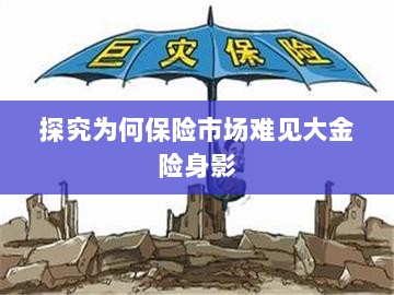 大金险在保险市场难觅踪迹的探究-图1