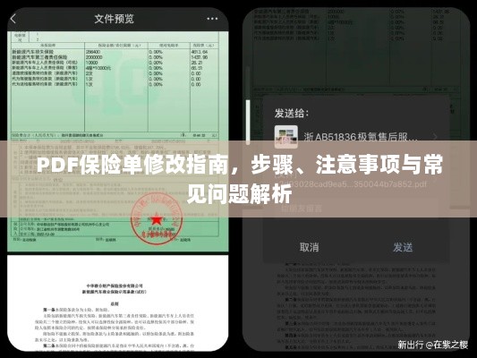 PDF保险单修改指南，步骤、注意事项及常见问题解析-图1