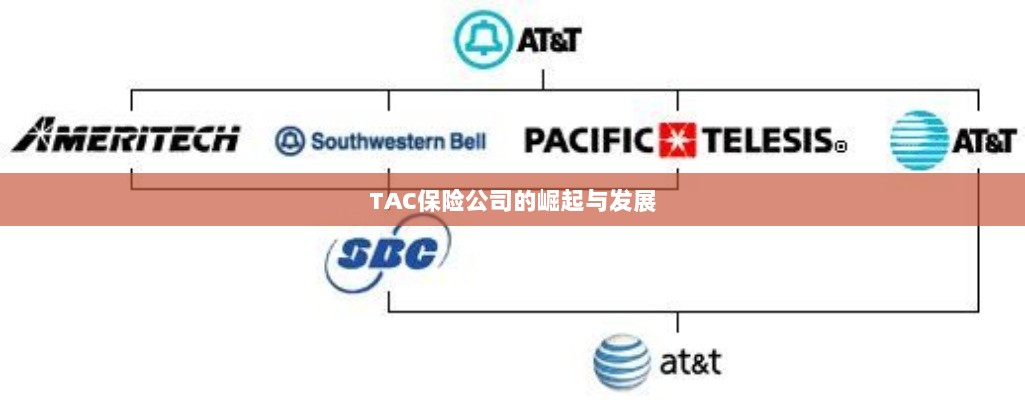 TAC保险公司的崛起与蓬勃发展之路-图1 TAC保险公司的崛起与蓬勃发展之路-图1