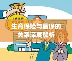 生育保险与医保关系的深度探讨-图1 生育保险与医保关系的深度探讨-图1