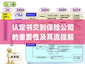认定书交到保险公司的流程解析与重要性探讨-图1 认定书交到保险公司的流程解析与重要性探讨-图1