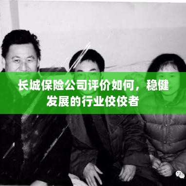 长城保险公司评价积极,行业稳健发展的佼佼者-图1 长城保险公司评价积极,行业稳健发展的佼佼者-图1