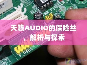 天籁AUDIO保险丝解析与探索-图1