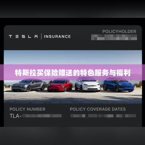 特斯拉保险特惠,独家特色服务与丰厚赠品等你来享-图1 特斯拉保险特惠,独家特色服务与丰厚赠品等你来享-图1